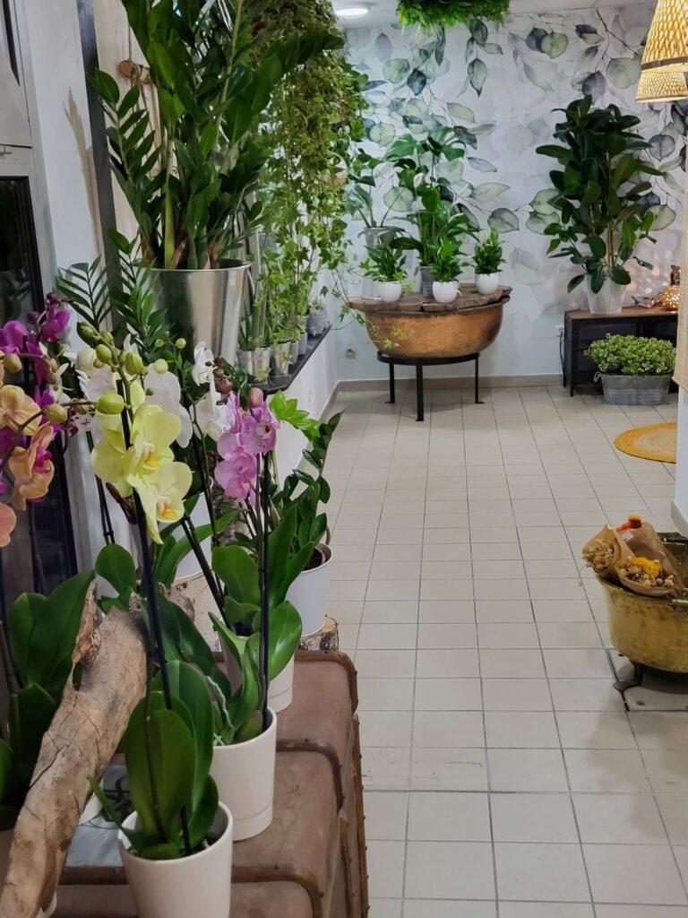 Artisan fleuriste à Grigny sur Rhône, vous proposant un large choix de plantes et fleurs d'intérieur / extérieur, ainsi que des idées cadeaux issues de l'artisanat local