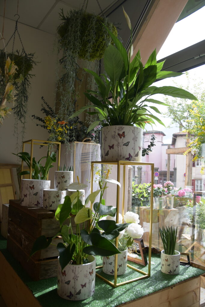 Artisan fleuriste à Grigny sur Rhône, vous proposant un large choix de plantes et fleurs d'intérieur / extérieur, ainsi que des idées cadeaux issues de l'artisanat local